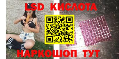 крисы Кандалакша