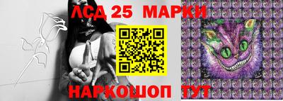 альфа пвп Камышлов