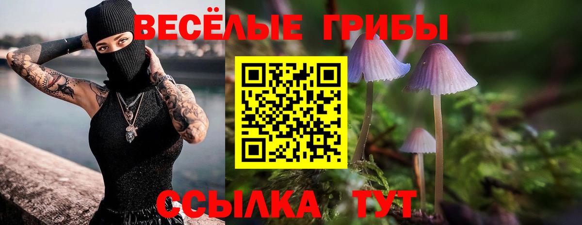 Иркутск  Псилоцибиновые грибы Magic Shrooms  Вход с VPN 